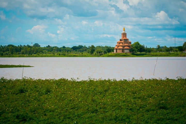 สะดืออีสาน