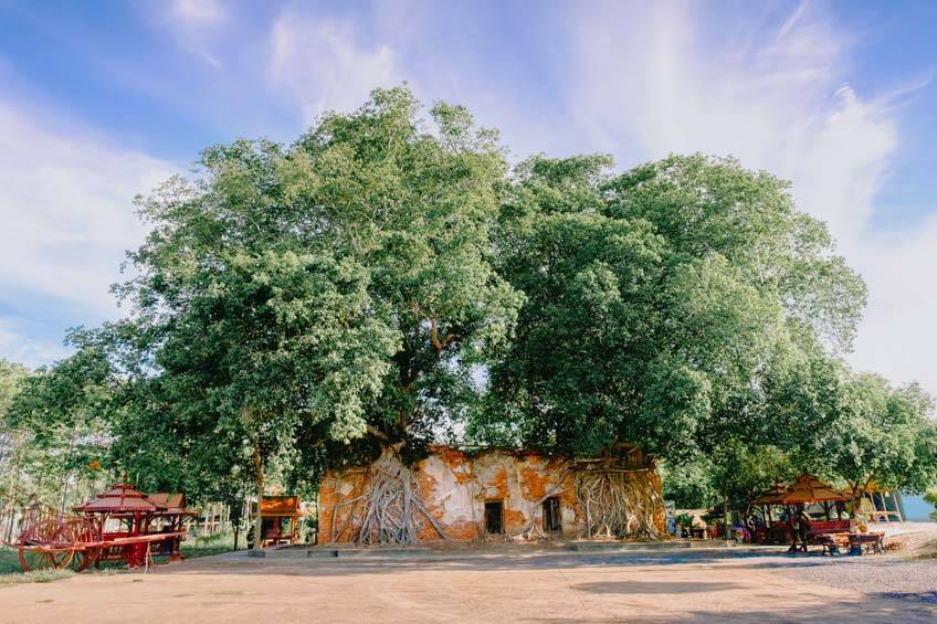 วัดสังกระต่าย อ่างทอง