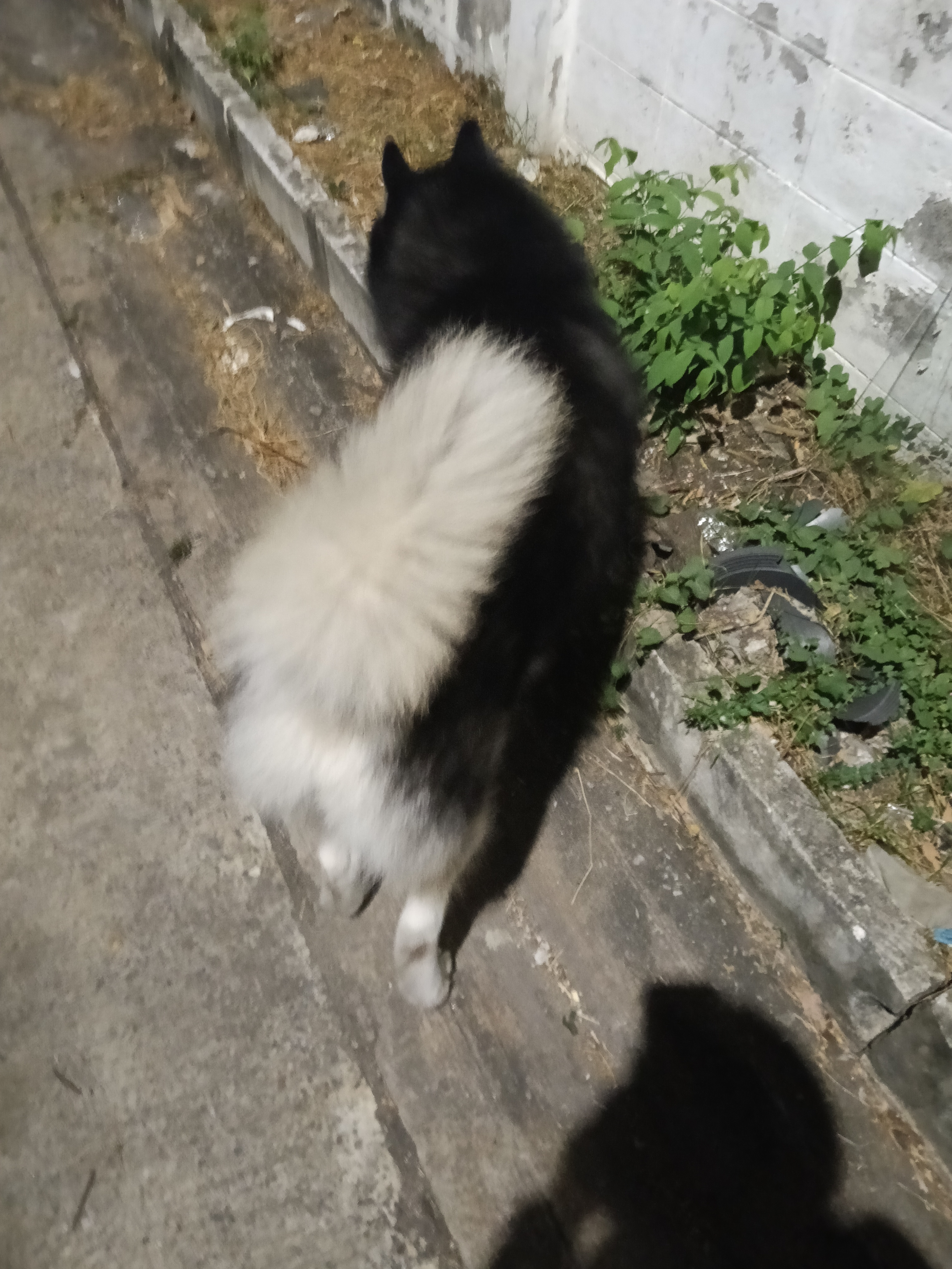 โรงแรมผีสิง