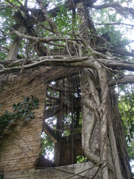 ลัดดาแลนด์ 