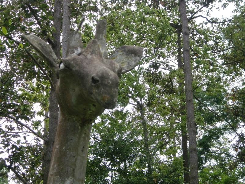 ลัดดาแลนด์ 