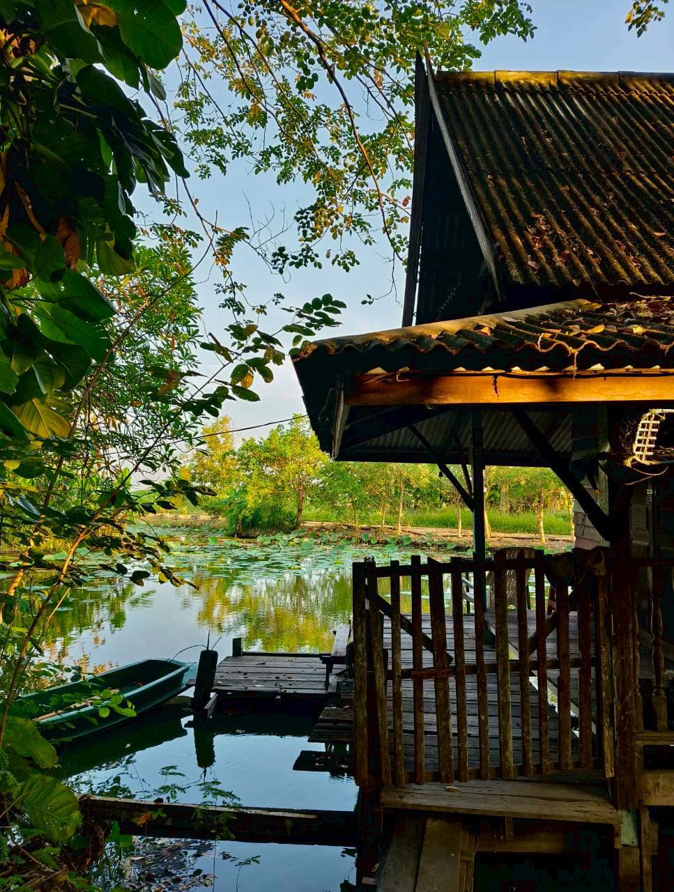 บ้านในสวน ริมน้ำ ฉะเชิงเทรา