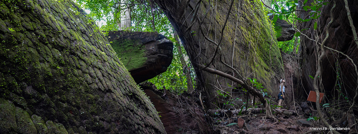 ถ้ำนาคี นครพนม