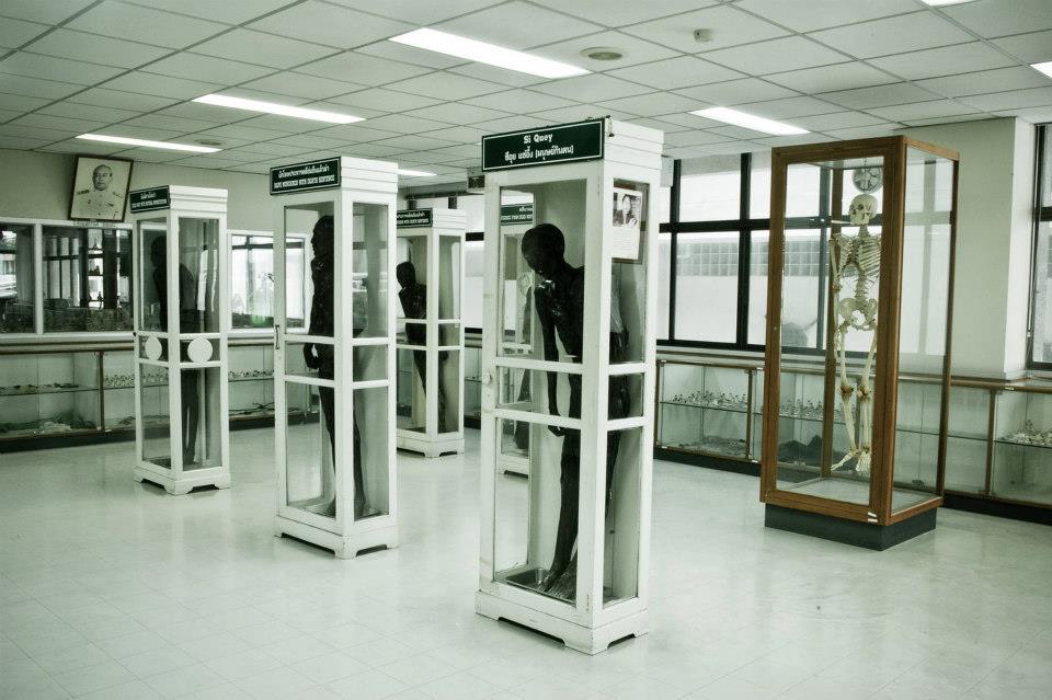 พิพิธภัณฑ์การแพทย์ศิริราช พิพิธภัณฑ์นิติเวชศาสตร์สงกรานต์ นิยมเสน